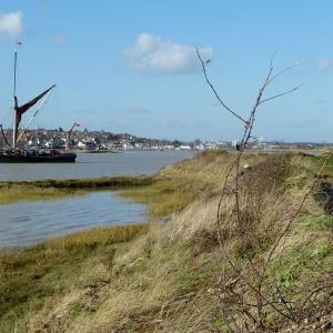 Birds of the Colne Cruise